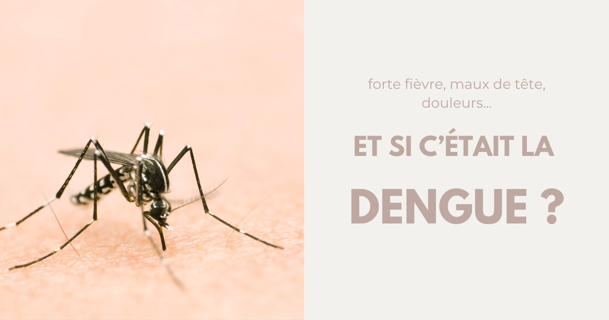 La dengue, une maladie en forte expansion image