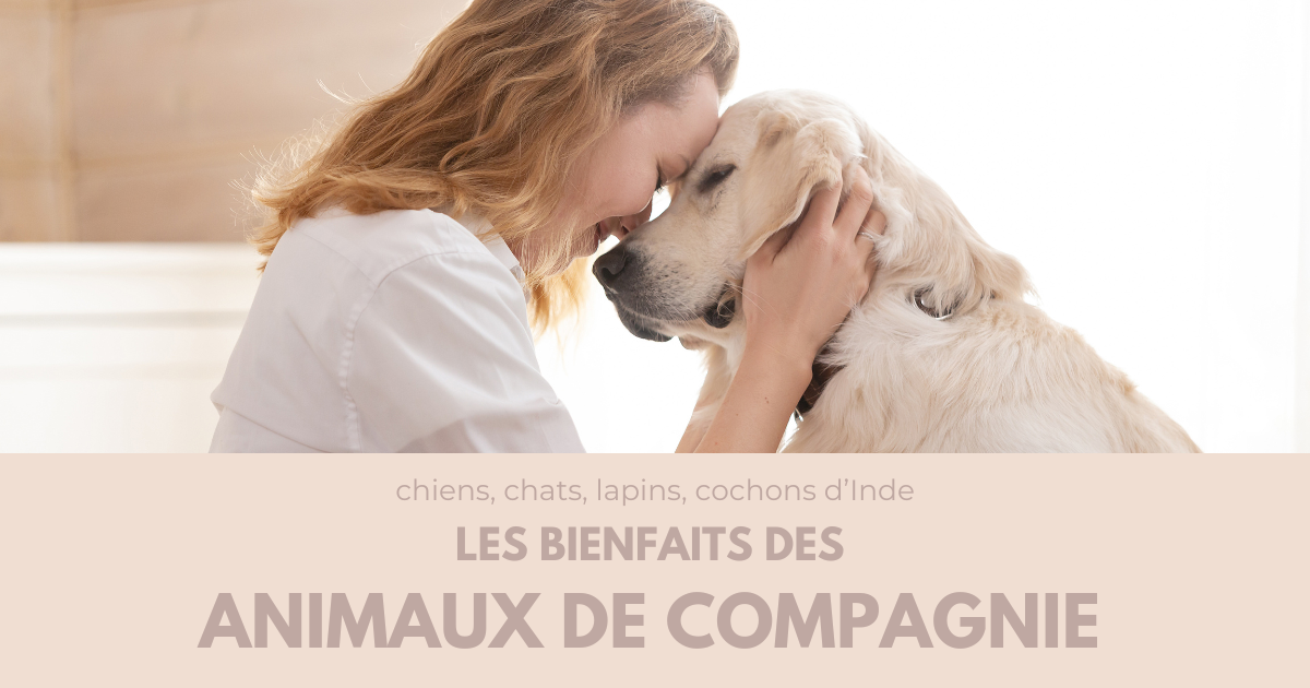 Chiens, chats, lapins… les bienfaits des animaux de compagnie sur la santé