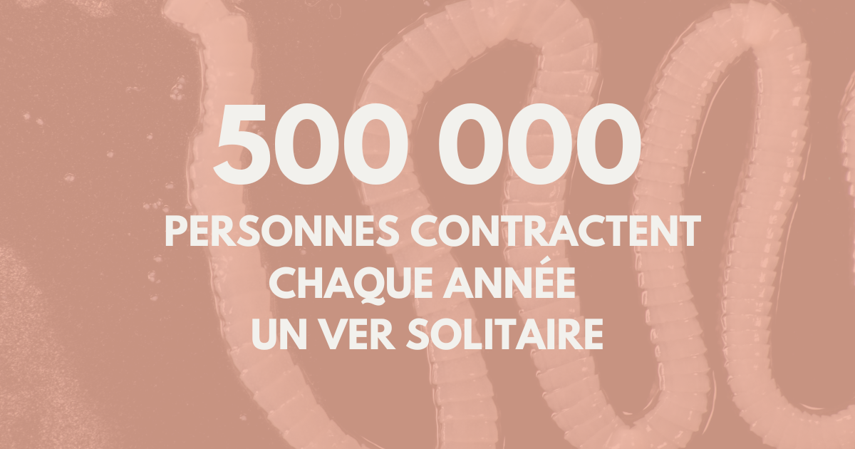 Ver solitaire : contamination, traitement, prévention image