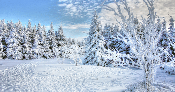 categorie Hiver image