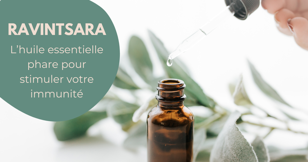 L’huile essentielle de Ravintsara, l’incontournable de la trousse aromatique image
