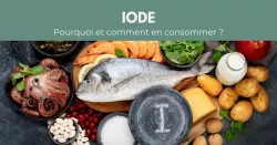 L’iode, indispensable à la synthèse des hormones thyroïdiennes