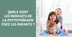 Phytothérapie pour les enfants : quelles plantes médicinales utiliser ?