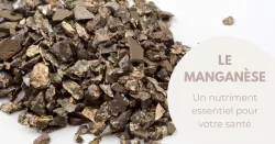 Le manganèse, l’oligo-élément source d’énergie