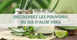 Le jus d’aloe vera, un véritable trésor de bienfaits pour la santé