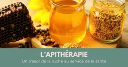 L’apithérapie, la « médecine des abeilles »