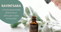 L’huile essentielle de Ravintsara, l’incontournable de la trousse aromatique