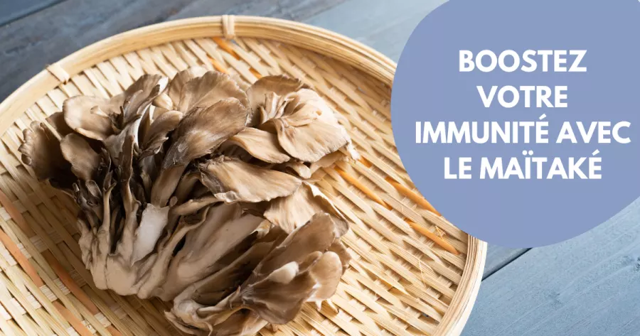 Le maïtaké, le super champignon de l’immunité