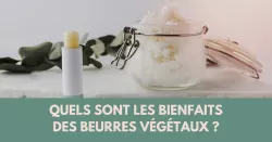 Les beurres végétaux, des alliés beauté !