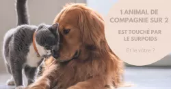 Surpoids, sédentarité… mieux vaut prévenir que guérir !