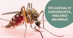 Chikungunya : 3 armes simples et efficaces pour éviter l’infection image