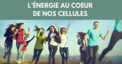 Mitochondries, le secret de notre énergie