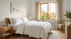 Acariens : les bons réflexes pour un intérieur plus sain cet automne image